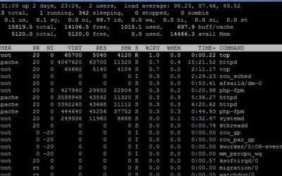 Sometimes, Database Virtualization Is A Bad Idea